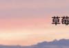 草莓英文单词