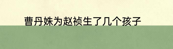 曹丹姝为赵祯生了几个孩子