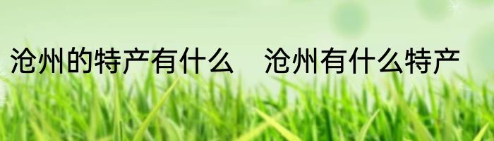 沧州的特产有什么　沧州有什么特产
