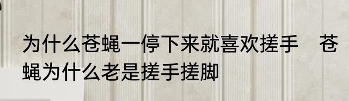 为什么苍蝇一停下来就喜欢搓手　苍蝇为什么老是搓手搓脚
