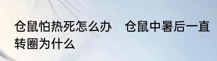 仓鼠怕热死怎么办　仓鼠中暑后一直转圈为什么