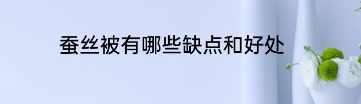 蚕丝被有哪些缺点和好处