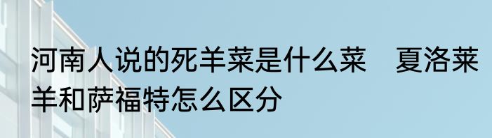 河南人说的死羊菜是什么菜　夏洛莱羊和萨福特怎么区分