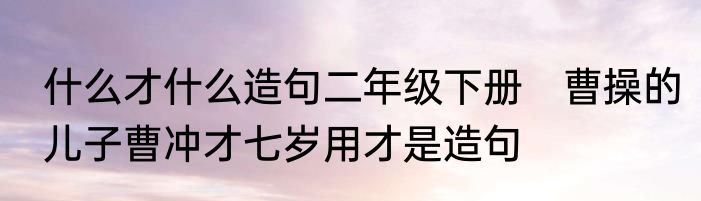 什么才什么造句二年级下册　曹操的儿子曹冲才七岁用才是造句