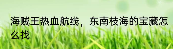 海贼王热血航线，东南枝海的宝藏怎么找