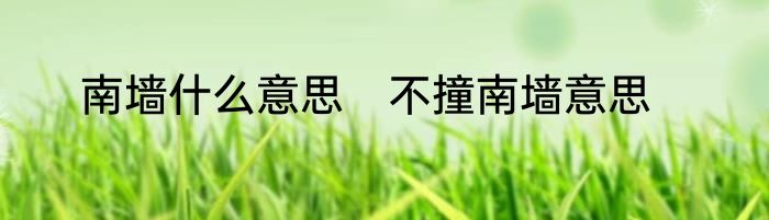 南墙什么意思　不撞南墙意思