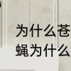 为什么苍蝇一停下来就喜欢搓手　苍蝇为什么老是搓手搓脚