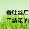 蚕吐丝启示了我们什么　蚕为什么到了结茧的时候乱吐丝