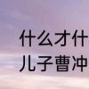 什么才什么造句二年级下册　曹操的儿子曹冲才七岁用才是造句