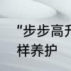 “步步高升”花怎么养　蒸蒸日上花怎样养护