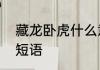 藏龙卧虎什么意思　藏龙卧虎是什么短语