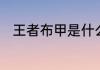 王者布甲是什么　布甲旅游是那市