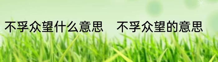 不孚众望什么意思　不孚众望的意思