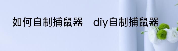如何自制捕鼠器　diy自制捕鼠器