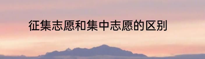 征集志愿和集中志愿的区别