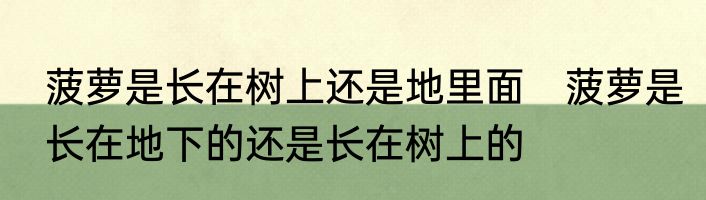 菠萝是长在树上还是地里面　菠萝是长在地下的还是长在树上的