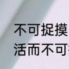 不可捉摸的意思名不虚传的意思　灵活而不可捉摸是什么词语的意思