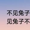 不见兔子不撒鹰比喻什么样的人　不见兔子不撒鹰是什么意思