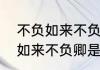 不负如来不负卿是什么意思呢　不负如来不负卿是什么意思呢
