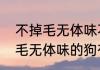 不掉毛无体味不乱叫的狗排名　不掉毛无体味的狗有哪些