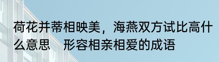 荷花并蒂相映美，海燕双方试比高什么意思　形容相亲相爱的成语