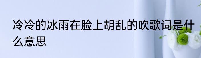 冷冷的冰雨在脸上胡乱的吹歌词是什么意思