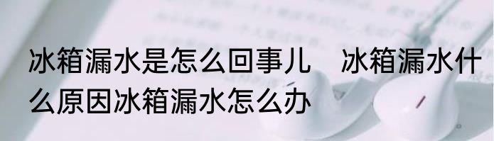 冰箱漏水是怎么回事儿　冰箱漏水什么原因冰箱漏水怎么办