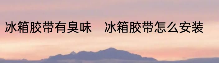 冰箱胶带有臭味　冰箱胶带怎么安装