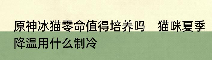 原神冰猫零命值得培养吗　猫咪夏季降温用什么制冷