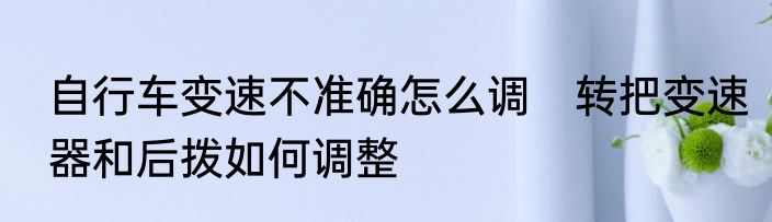 自行车变速不准确怎么调　转把变速器和后拨如何调整