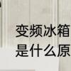 变频冰箱是什么意思　冰箱显示变频是什么原因