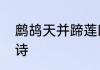 鹧鸪天并蹄莲四句古诗　同枝同根的诗