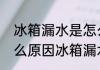 冰箱漏水是怎么回事儿　冰箱漏水什么原因冰箱漏水怎么办