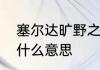 塞尔达旷野之息冰剑获取　冰剑术数什么意思