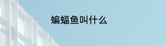 蝙蝠鱼叫什么