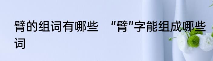 臂的组词有哪些　“臂”字能组成哪些词