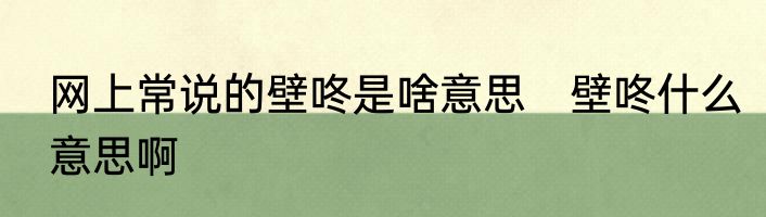 网上常说的壁咚是啥意思　壁咚什么意思啊