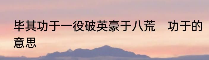 毕其功于一役破英豪于八荒　功于的意思