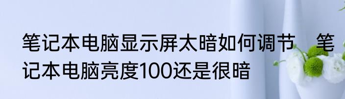 笔记本电脑显示屏太暗如何调节　笔记本电脑亮度100还是很暗