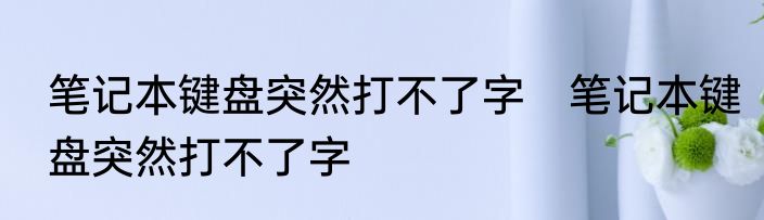 笔记本键盘突然打不了字　笔记本键盘突然打不了字
