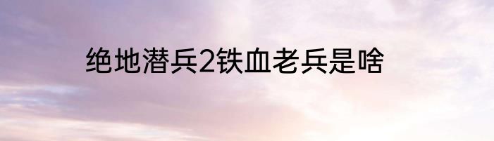 绝地潜兵2铁血老兵是啥