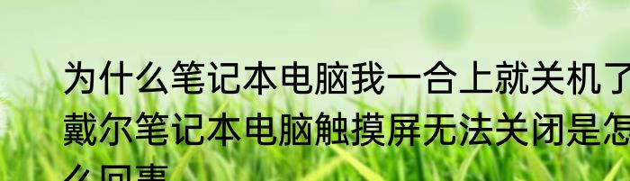 为什么笔记本电脑我一合上就关机了　戴尔笔记本电脑触摸屏无法关闭是怎么回事