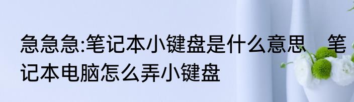 急急急:笔记本小键盘是什么意思　笔记本电脑怎么弄小键盘