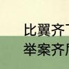 比翼齐飞和比翼双飞哪个是存在的　举案齐眉,比翼双飞是什么意思