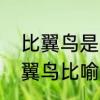 比翼鸟是指什么　比翼鸟比喻什么比翼鸟比喻什么