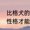 比格犬的性格怎么样　比格犬长多大性格才能稳定