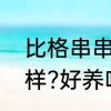 比格串串好养吗　比格犬的性格怎么样?好养吗