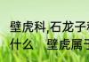 壁虎科,石龙子科,蜥蜴科，的，区别是什么　壁虎属于什么科类的动物