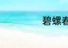 碧螺春是什么意思