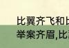 比翼齐飞和比翼双飞哪个是存在的　举案齐眉,比翼双飞是什么意思